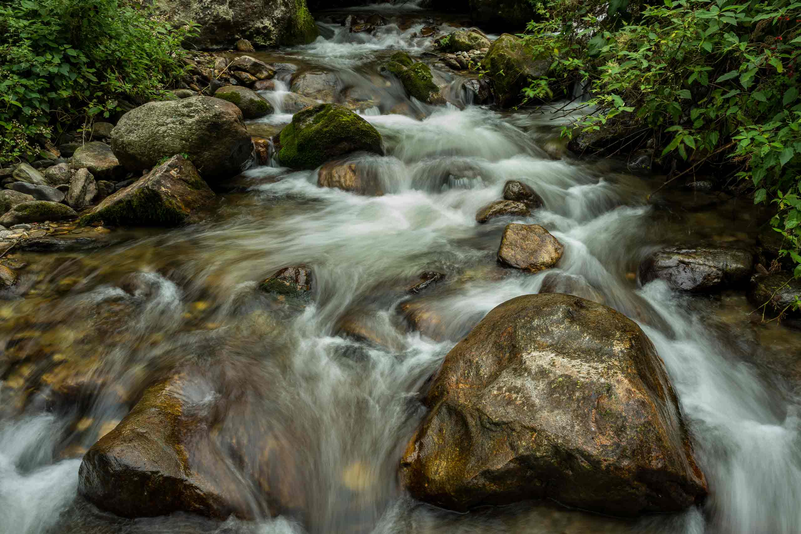 Capture authentic Bhutanese traditions through exclusive access to secluded communities
