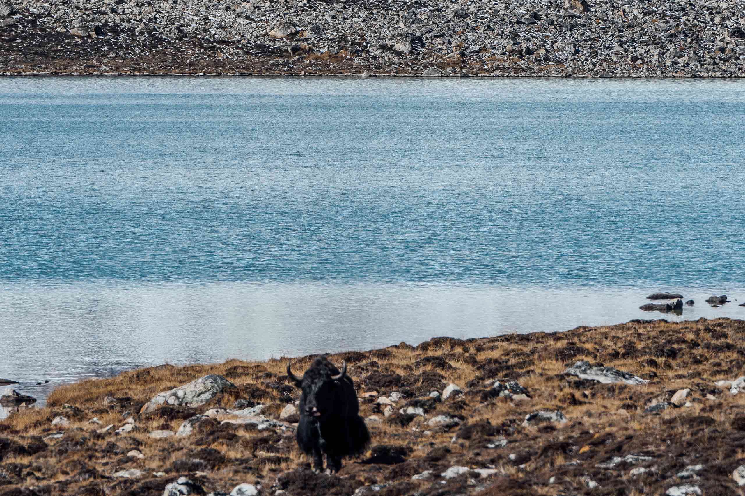Catch glimpses of the Tiger’s Nest Monastery from the trekking trails in Paro