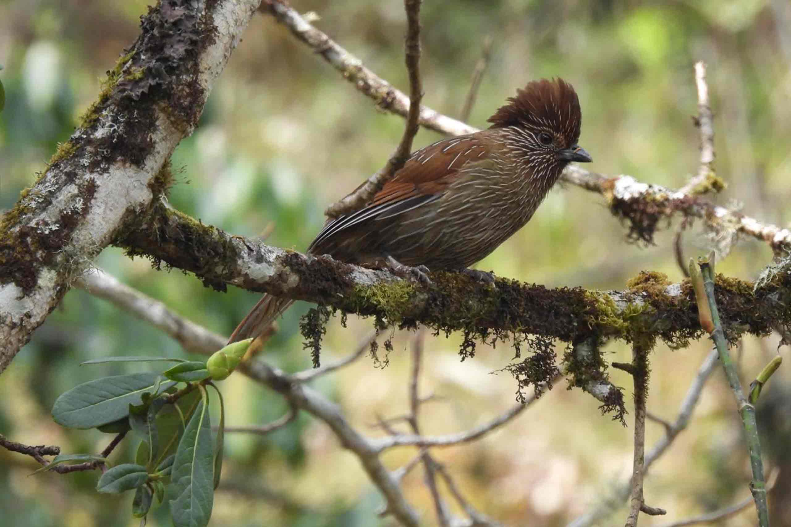 Discover hidden valleys and remote regions untouched by mainstream tourism